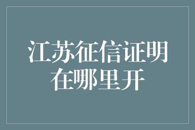 江苏征信证明获取指南 企业信用调查与评估的完整流程