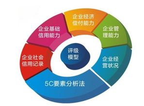 企业信用评级的科学体系 从调查到评估的完整流程解析